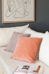 Almohadon terciopelo - comprar online