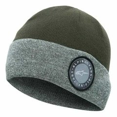 CARLTON BEANI ALPINESTARS VERDE/GRIS