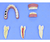 Modelo de Patologias Dentárias c/ 12 Partes em Placa - SD-5059/L - Sdorf Scientific - comprar online