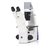 Primovert - Microscópio Invertido Binocular