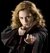 Varita de Hermione con estuche de regalo - comprar online