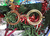 1er Set Navideño en internet