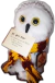 Lechuza Hedwig con CARTA