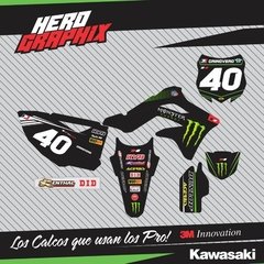 Kawasaki en internet