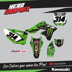 Kawasaki en internet