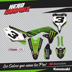 Kawasaki en internet