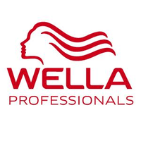 Banner de la categoría Wella
