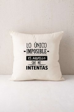Imagen de FUNDA DE ALMOHADON RUSTICO 50X50CM