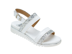 Art. 294 Blanco y plata- N° 29 al 36