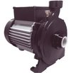 Bomba Centrifuga FC100 De 1 Hp Fluvial - comprar online