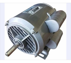 MOTOR COMPRESOR 3/4HP ALNIC - comprar online