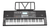 Teclado Organo Musical Sensitivo 61 Teclas Sunset YM-928