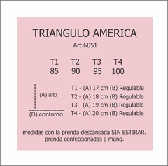 TRIANGULO AMERICA CROCCO - comprar online