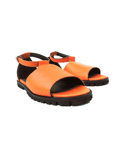 AMAPOLAS NARANJA - tienda online