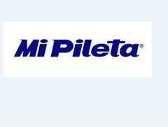 PILETA 800E SIMPLE CROMOMI PILETA en internet