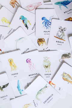 FLASH CARDS FAUNA - Compañia Feliz