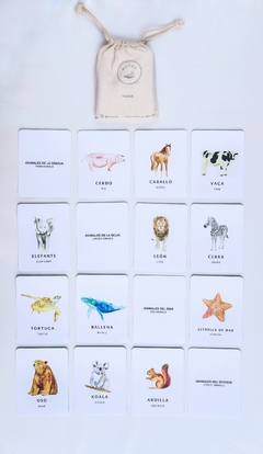 FLASH CARDS FAUNA en internet