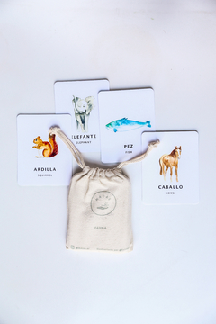 FLASH CARDS FAUNA - comprar online