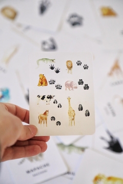 FLASH CARDS HUELLAS