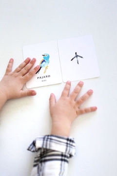 FLASH CARDS HUELLAS - tienda online