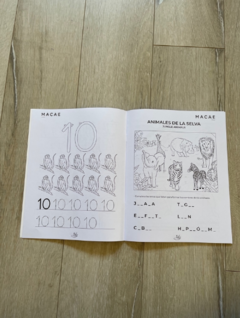 Imagen de LIBRO DE ACTIVIDADES