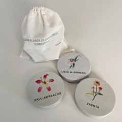 MEMO JUEGO ILUSTRADO PLANTAS - comprar online