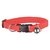 Collar Para Gatos Elastizado Regulable Cascabel Siames Persa - tienda online