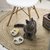 Set Comedero Bebedero Gatos Fun Feeding Cocooning 250 Ml