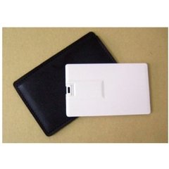 Pen Drive tarjeta 2GB