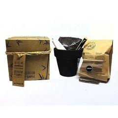 Maceta de barro pizarra N.8 con caja cartulina Kraft - Semillas - ECOM4