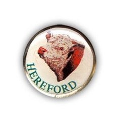 Pin redondo