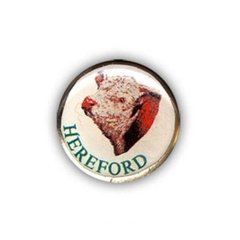 Pin redondo