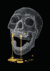 Wireframe Skull