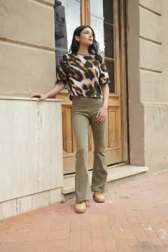 Oxford Taina Verde