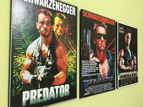 Cuadros - Tríptico Arnold Schwarzenegger