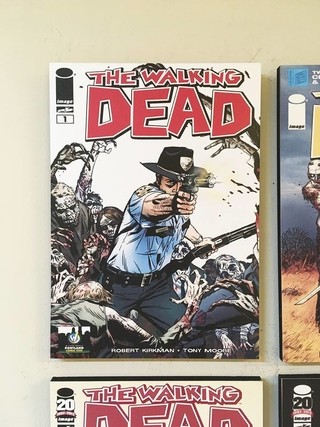 Combo 4 cuadros The Walking Dead Comic