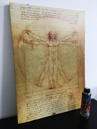 Cuadro El Hombre de Vitruvio de Leonardo Da Vinci en cuerina - Deco Delorean