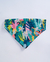 Bandana • Natureza