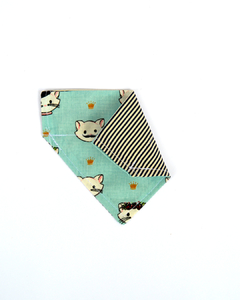 Bandana • Gato