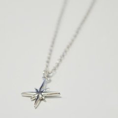 DIJE ESTRELLA DEL NORTE