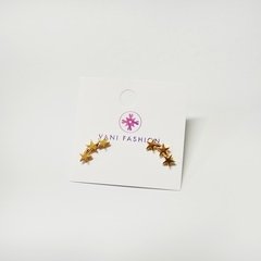 ARETES ESTRELLA - Vani Fashion