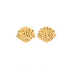 ARETES CONCHA - comprar en línea