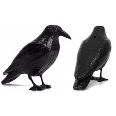 Ahuyenta Palomas Raven