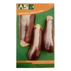 Semillas de Berenjena AS