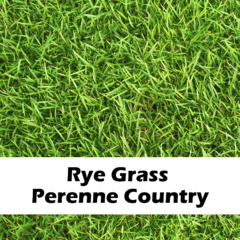 Rye Grass Perenne Country El Cencerro x 20 kg