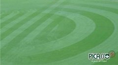 RyeGrass Perenne Augusta 25 Kg - comprar online
