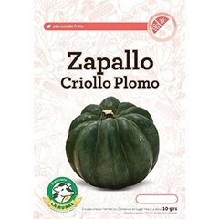 Semillas de Zapallo criollo plomo LA RURAL
