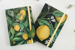 KIT COMBO LIMONERO Nº2 - 2 x Libretas LIMONERO A6 - CHICAS