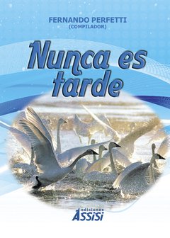 Nunca es tarde