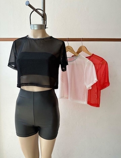 TOP BERA